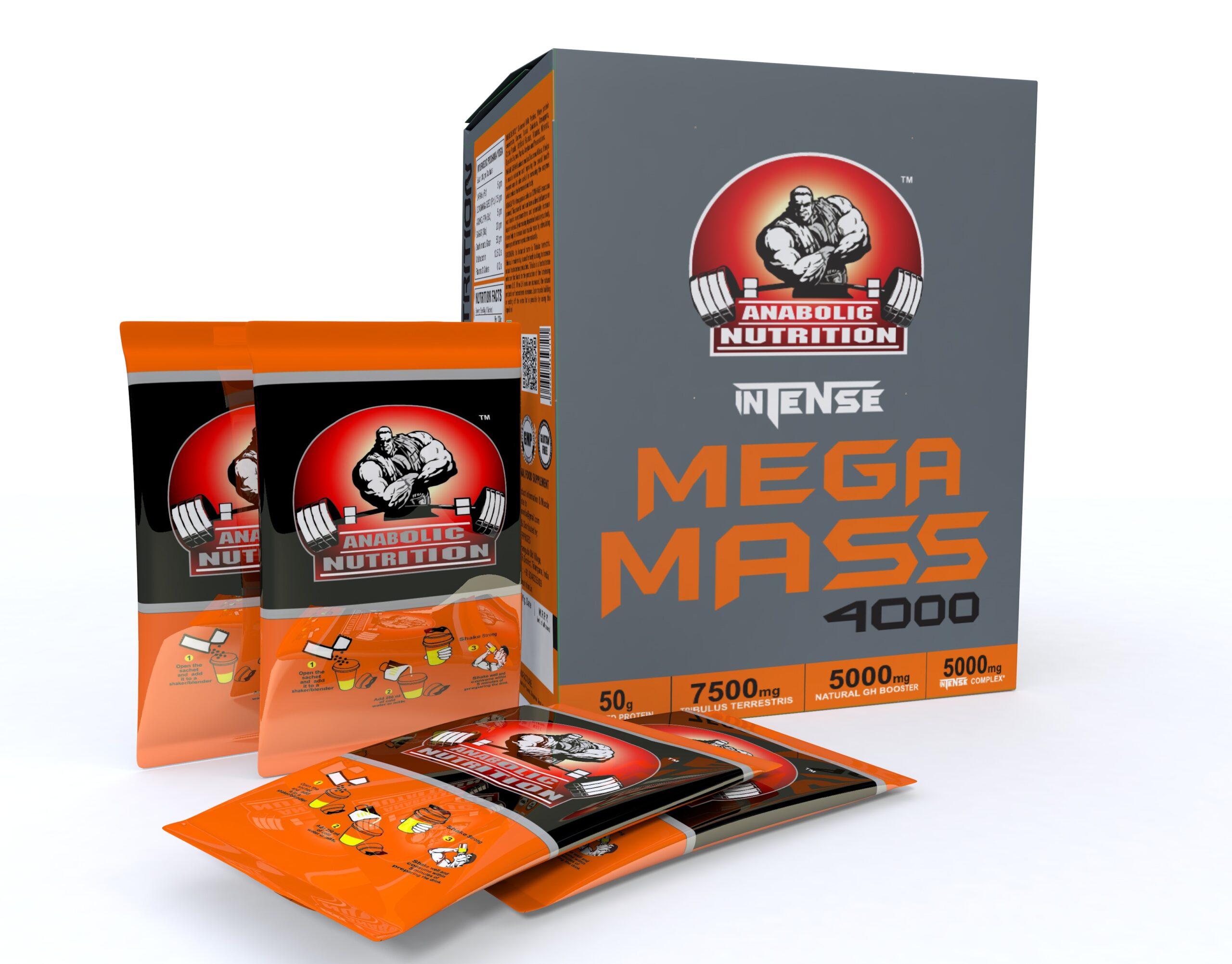 Anabolic Nutrition Intense Mega Mass 4000 at Rs 1650/piece