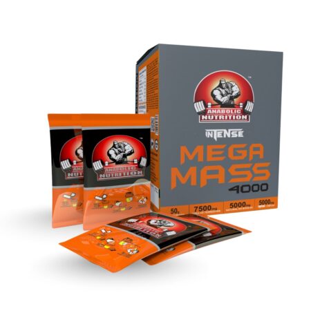 INTENSE MEGA MASS 4000
